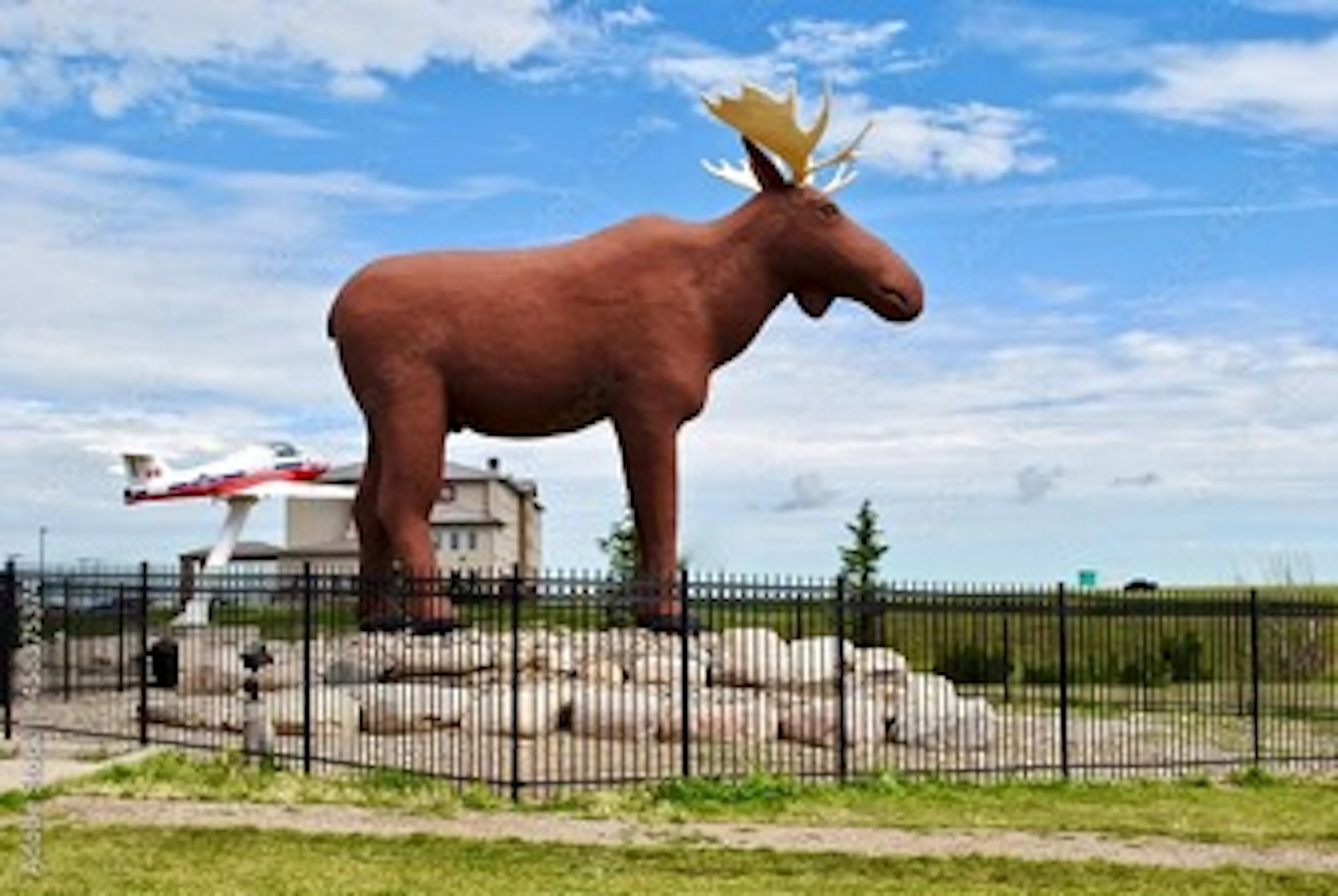 moose-jaw