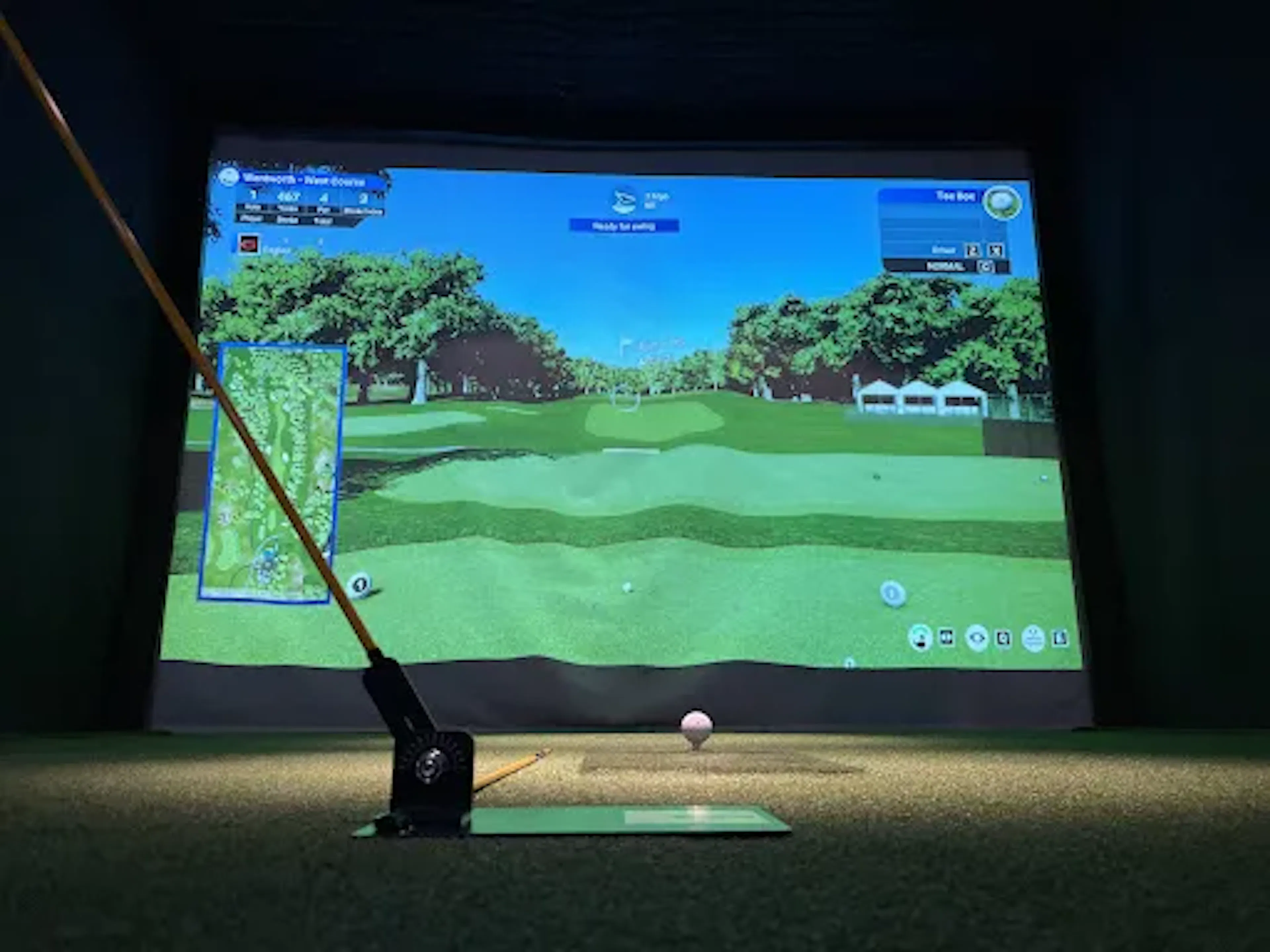 eagles indoor golf