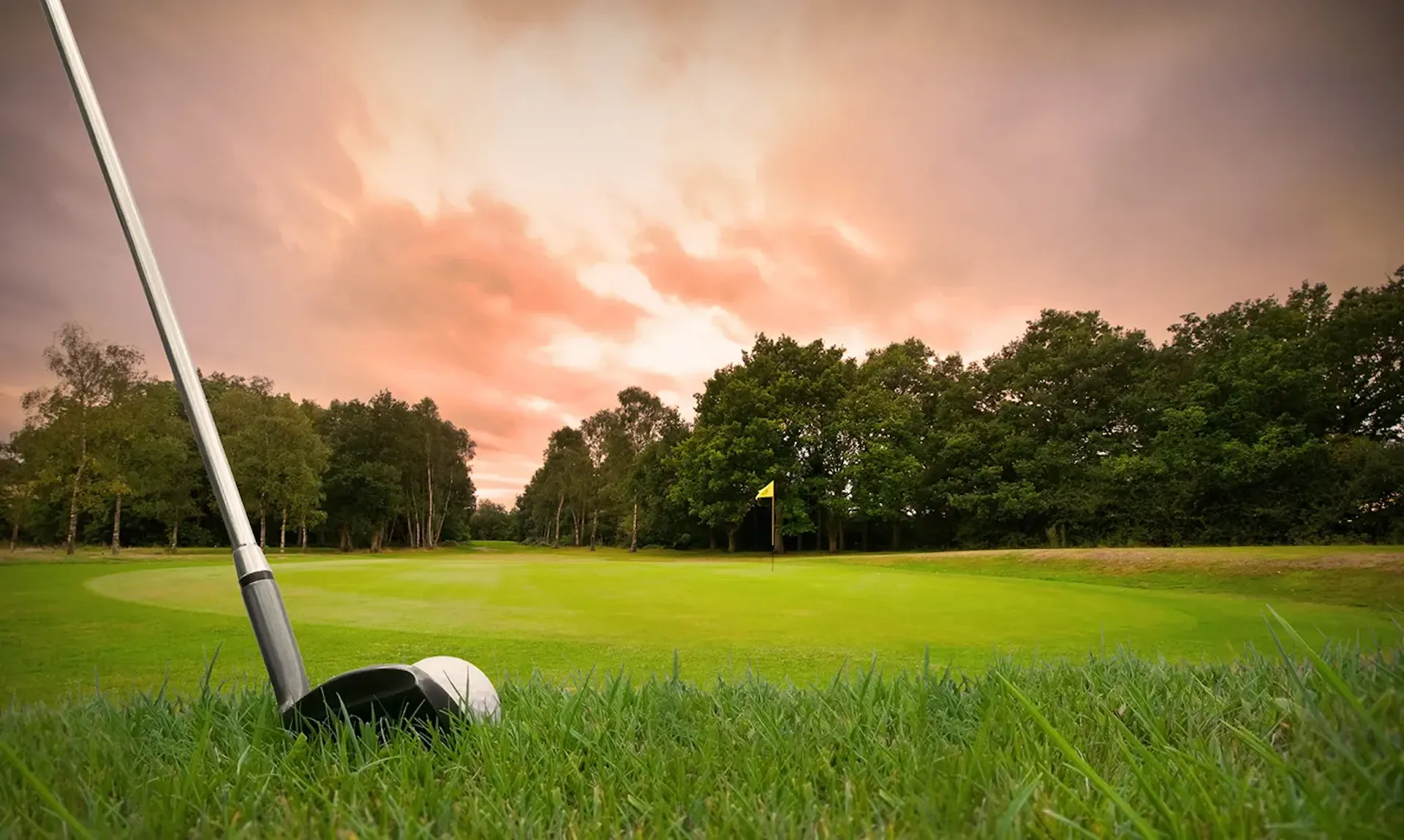 back-nine-golf