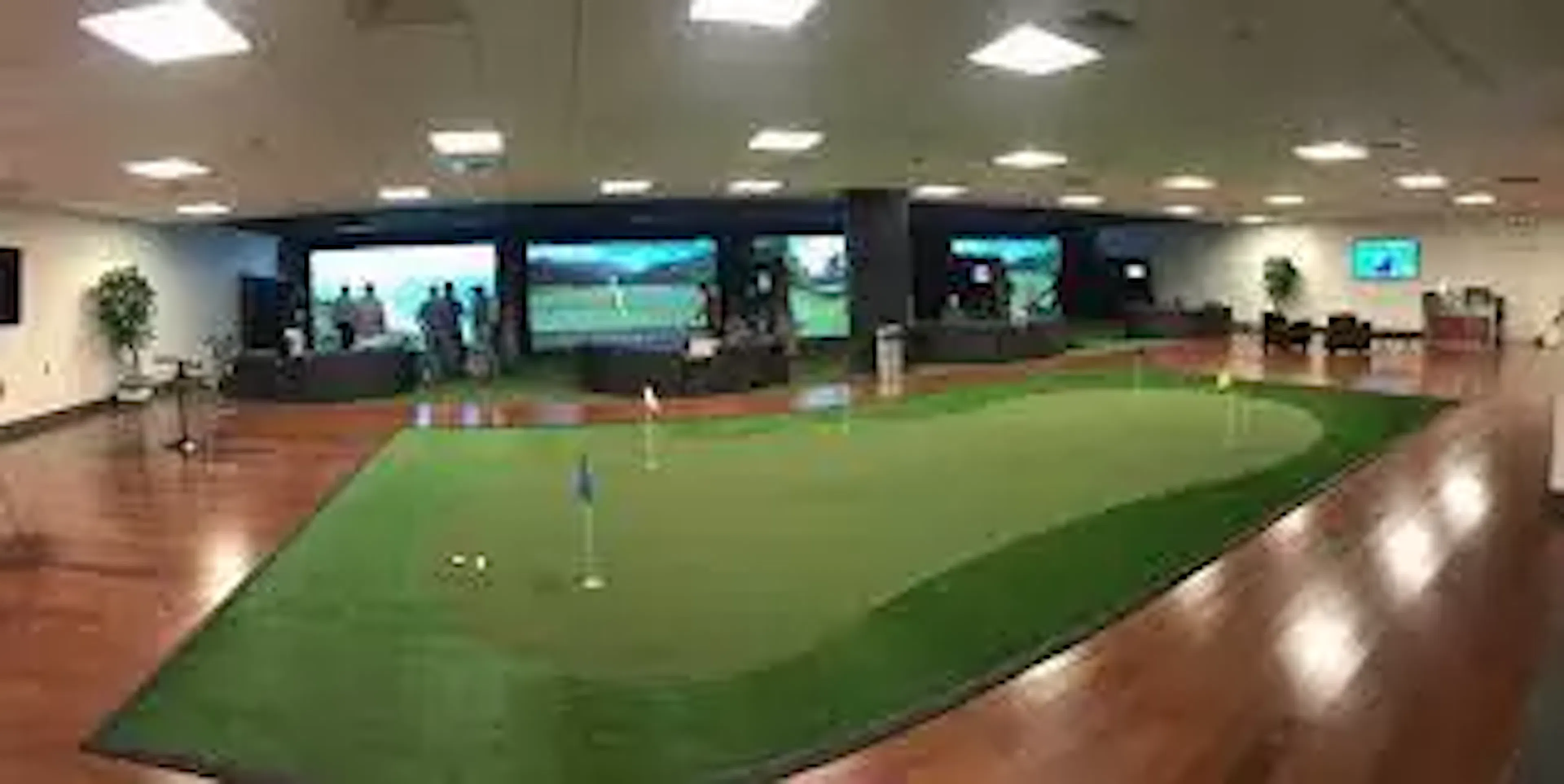 newport indoor golf