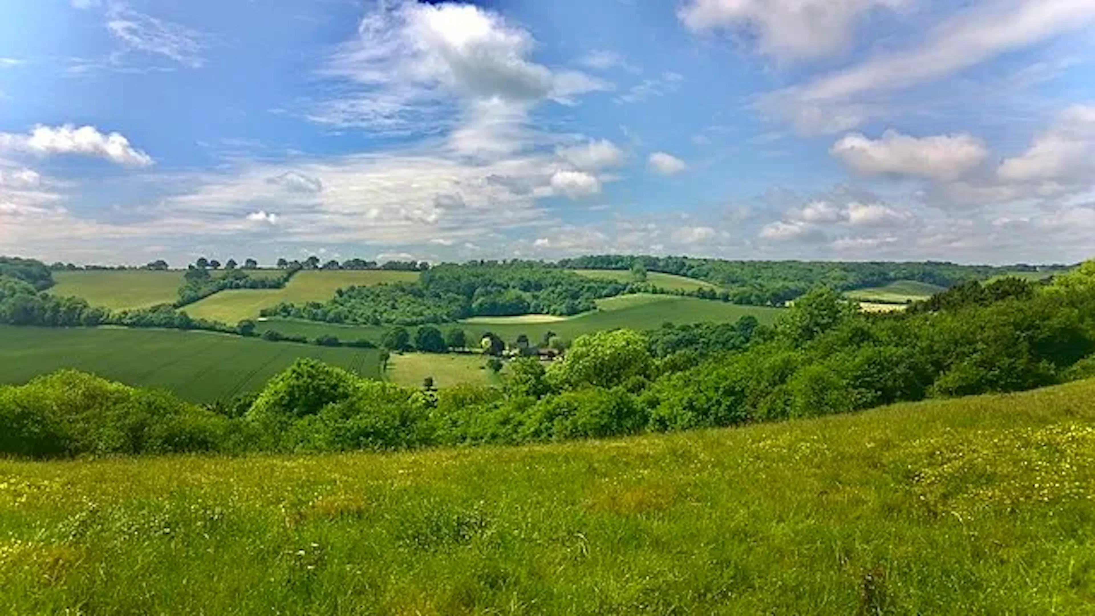 buckinghamshire