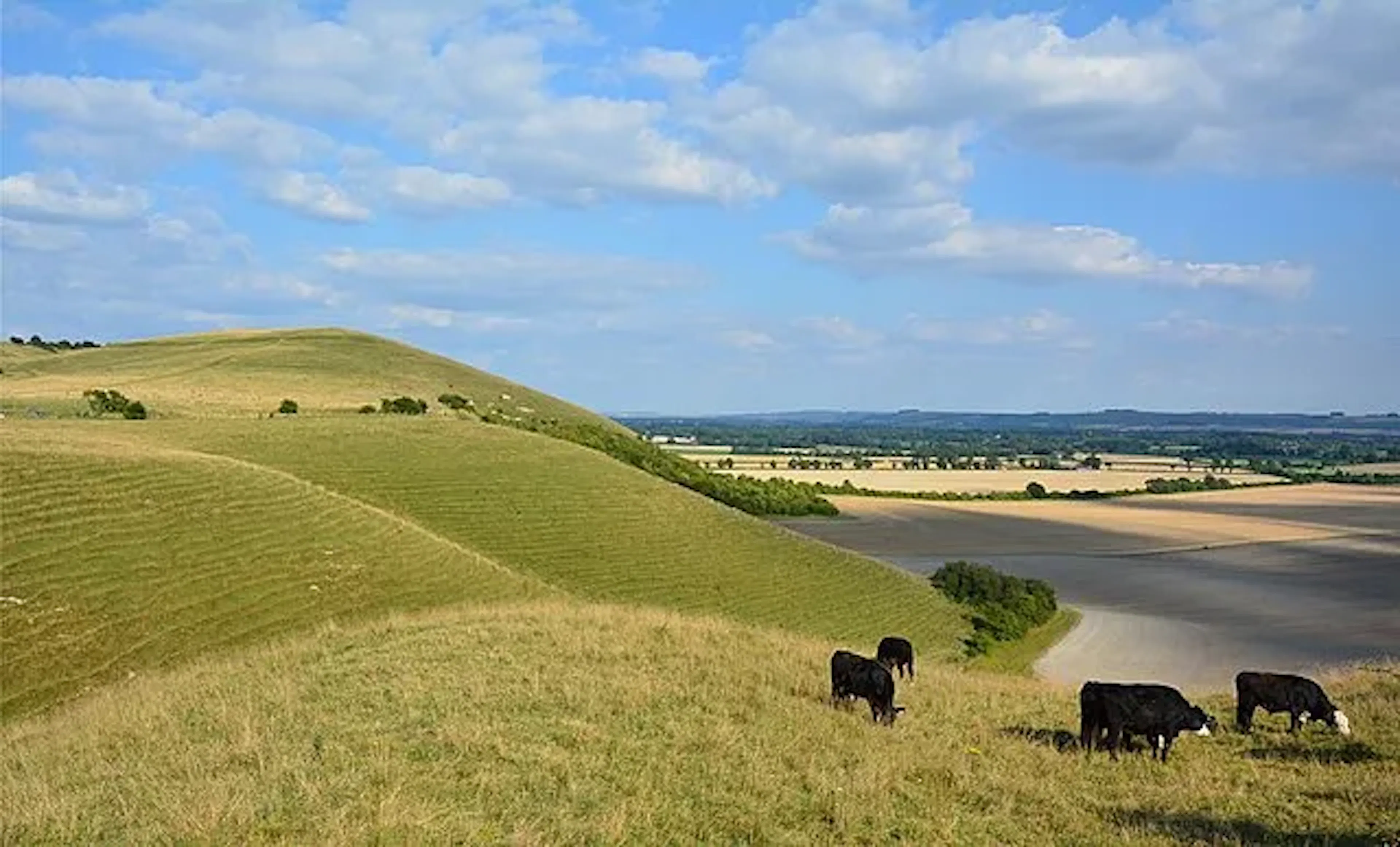 wiltshire